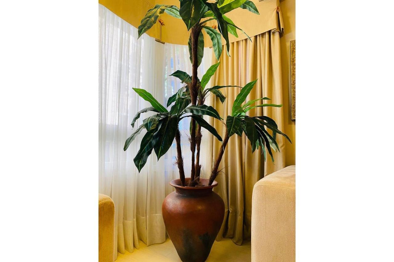 Mrg - -confortavel 2d - Proximo A Rua Coberta Apartamento