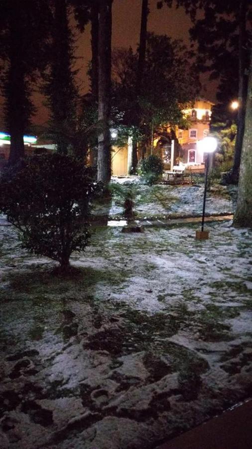 Apartamento Apto Novo No Coracao De Gramado