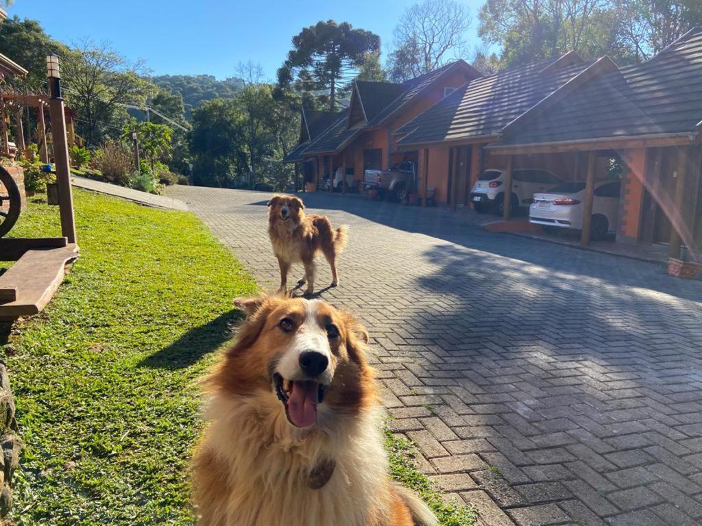 Maibe Amanhecer Na Serra Pensão 3*