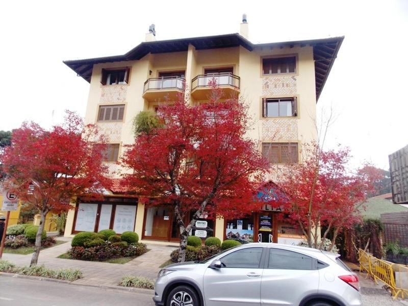 Apartamento Ensolarado No Centro De *