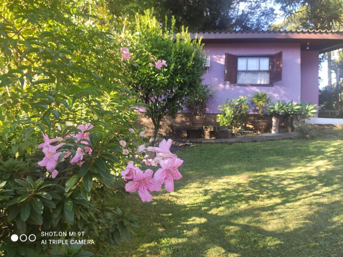 Gardenia 3*