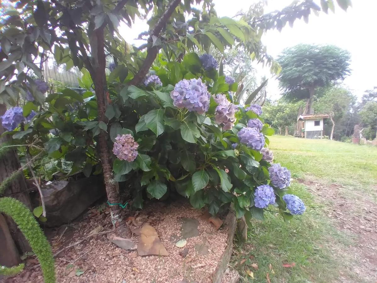 Recanto Da Mel Casa de férias Gramado