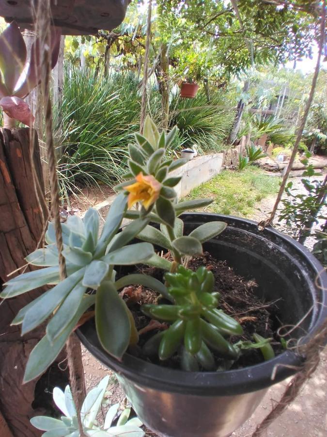 Casa de férias Recanto Da Mel