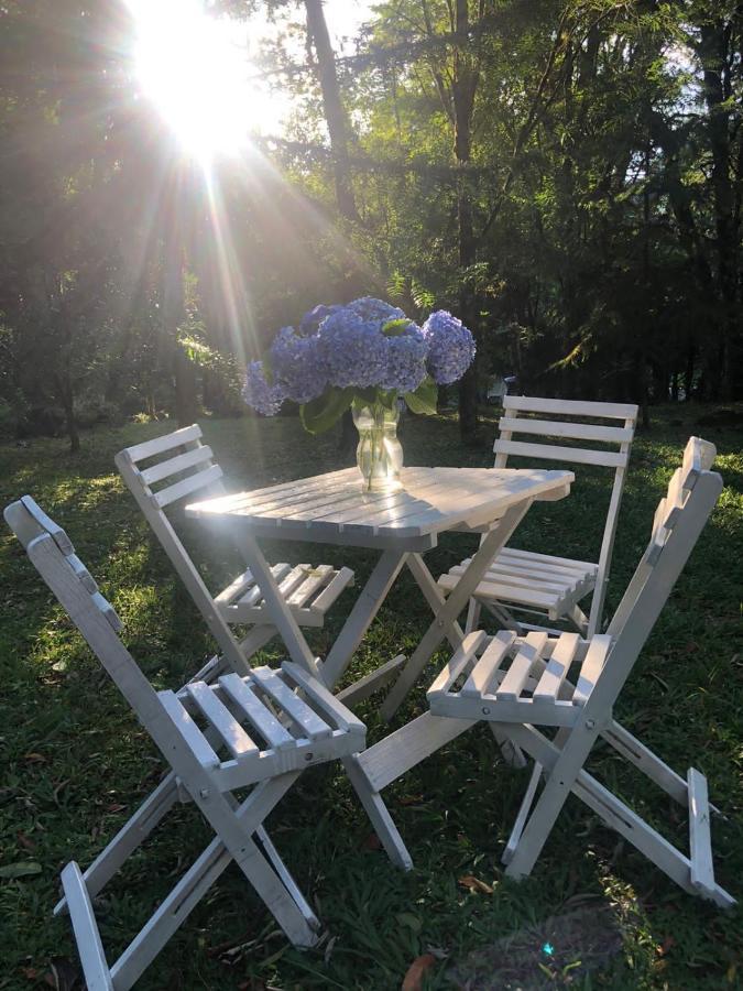 Casa Do Bosque Com Hidro, Em Local Espetacular, 5 Min Centro! *