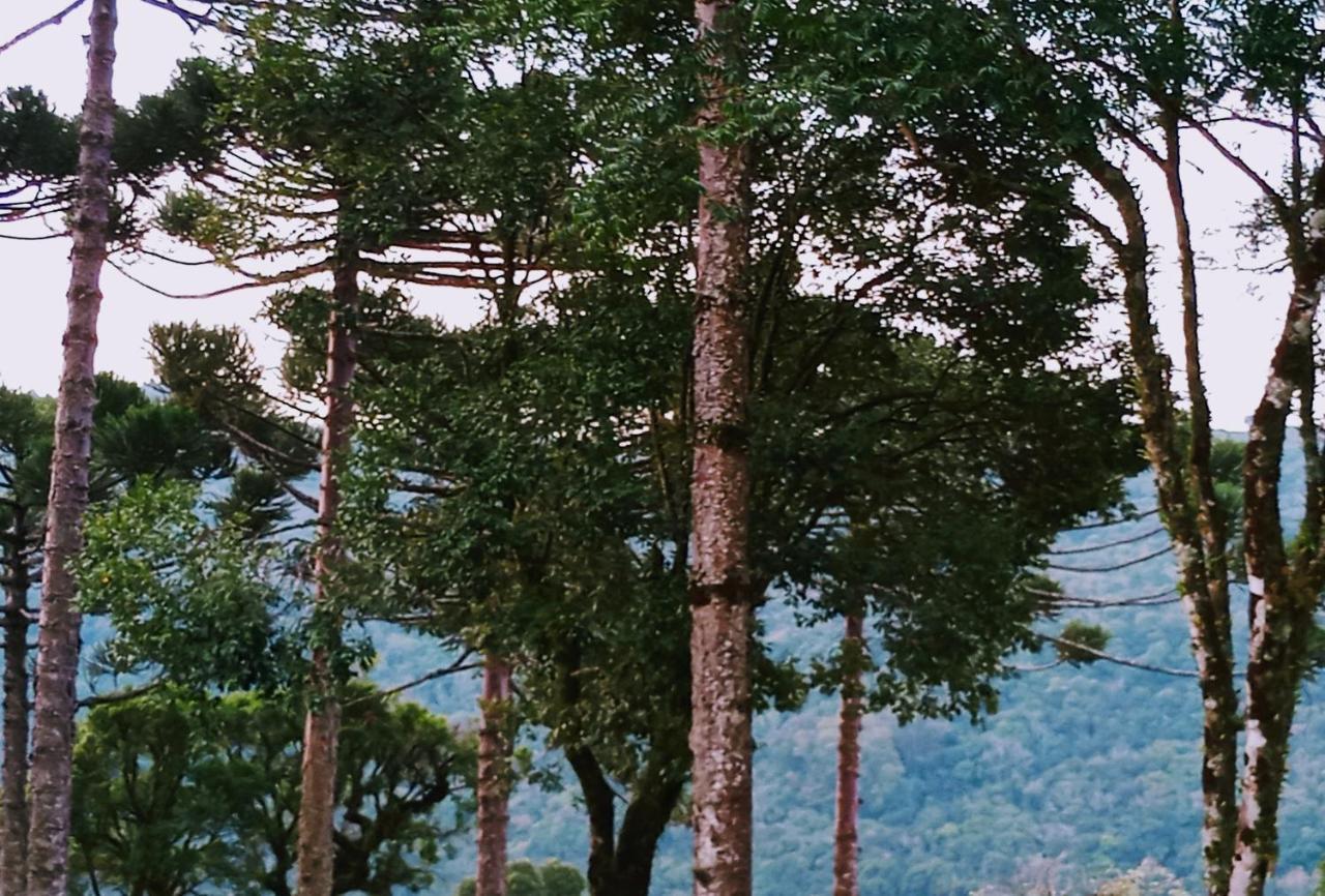 Chalé Cabanas Kuromatsu Gramado