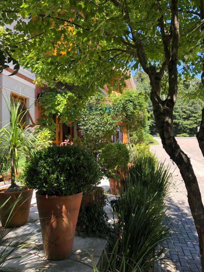 Boutique Britanico