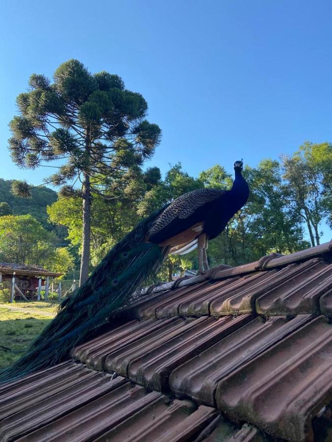 Maibe Amanhecer Na Serra Pensão