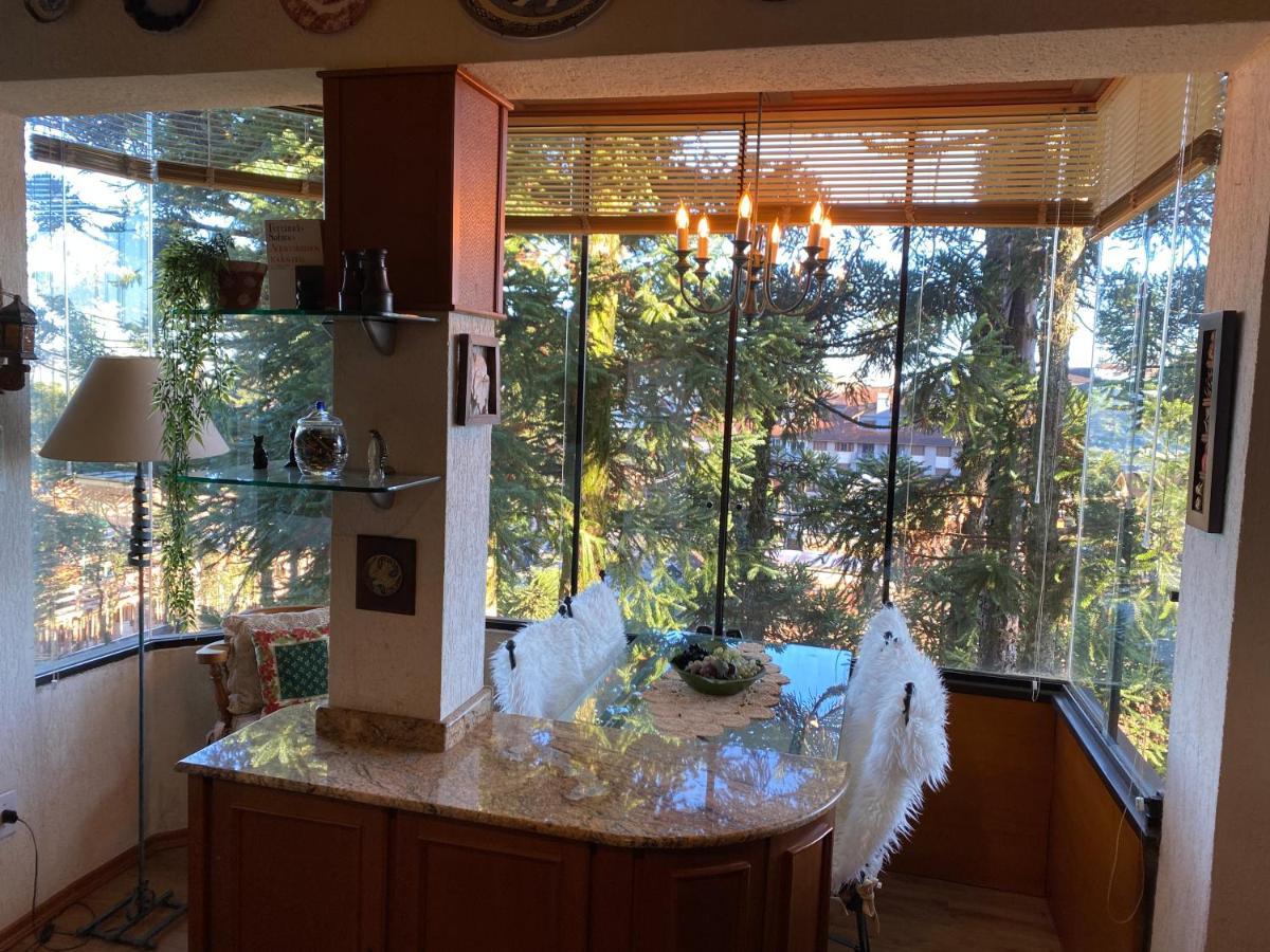 Vista Inspiradora Em Uma Localizacao Imbativel! Apartamento Gramado