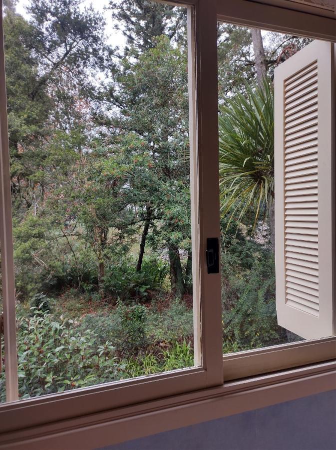 Apartamento Apto 4 Pessoas Cantinho Da Mimosa A 4 Min Do Centro, Prox Ao Lagonegro Com Wi-fi Aceita Pet Gramado