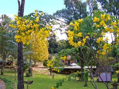 Chale Dos Platanos Casa de hóspedes Gramado