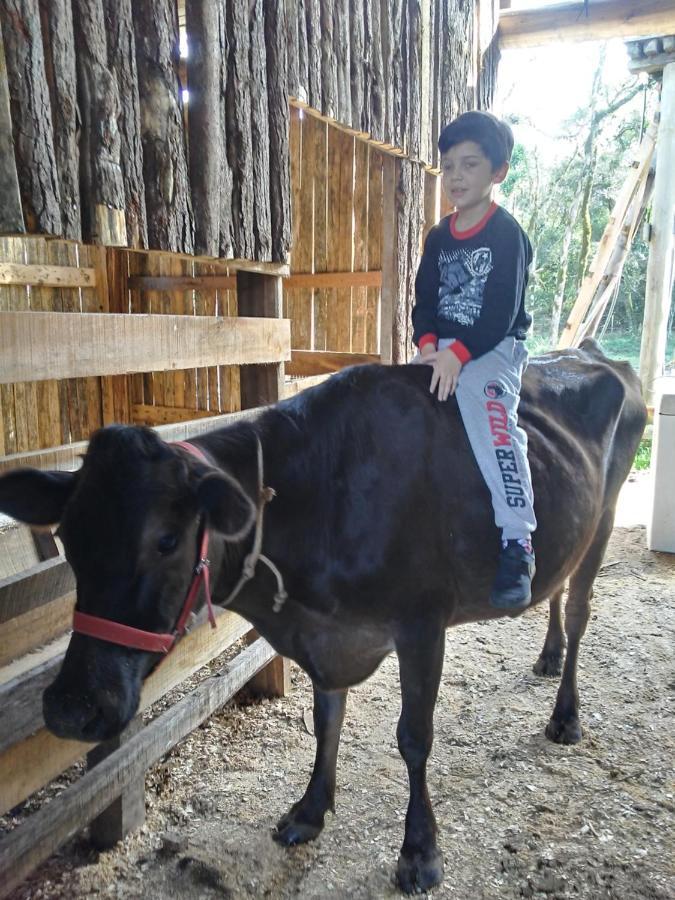 Estadia no rancho Sitio Aurora *