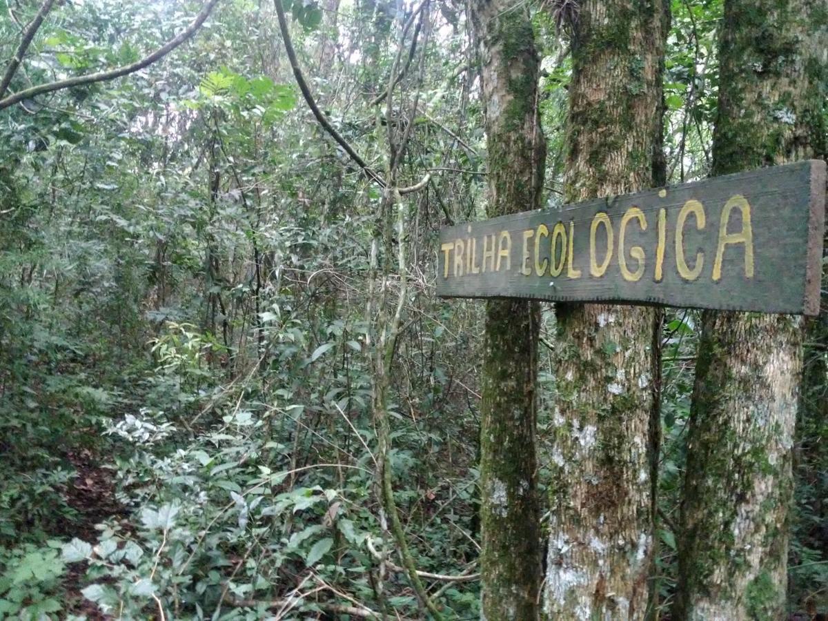 Sitio Aurora *