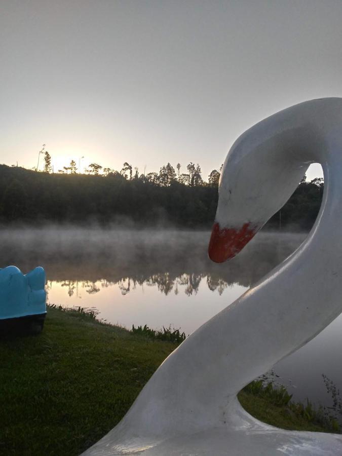 Sitio Aurora *