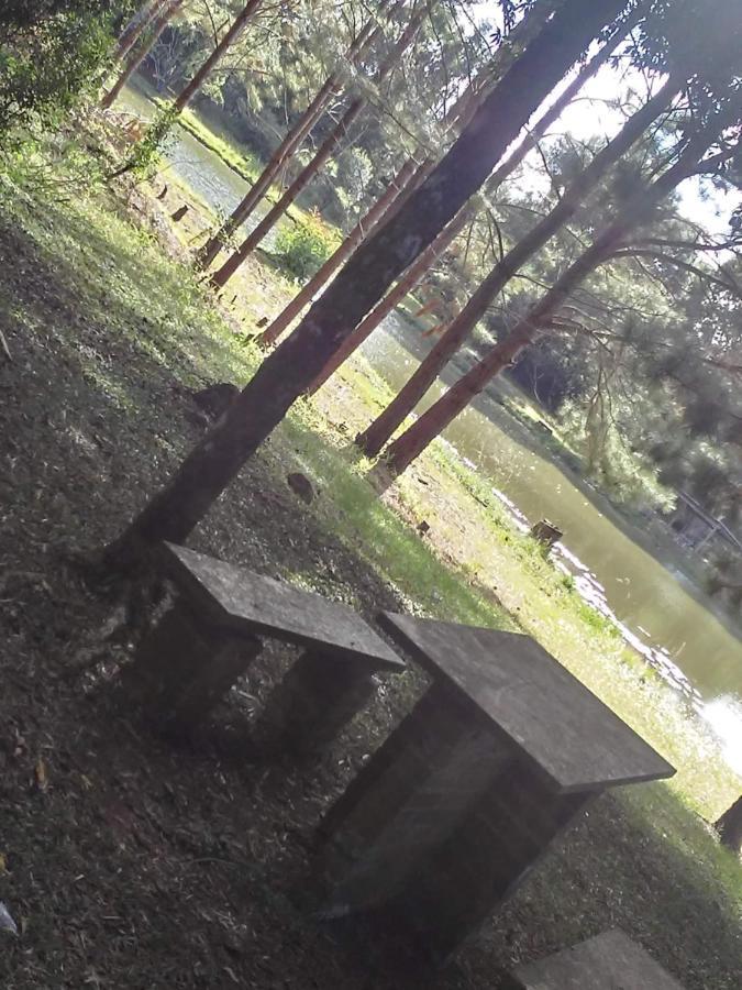 Sitio Aurora *