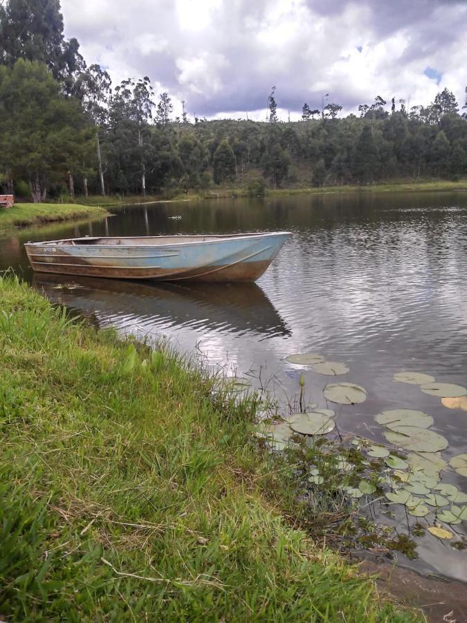 Sitio Aurora Gramado