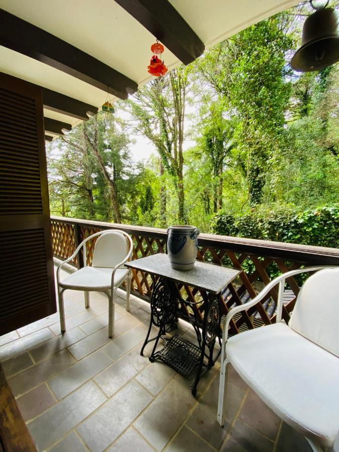 Mrg - Elegante 2d - Proximo Ao Negro Gramado
