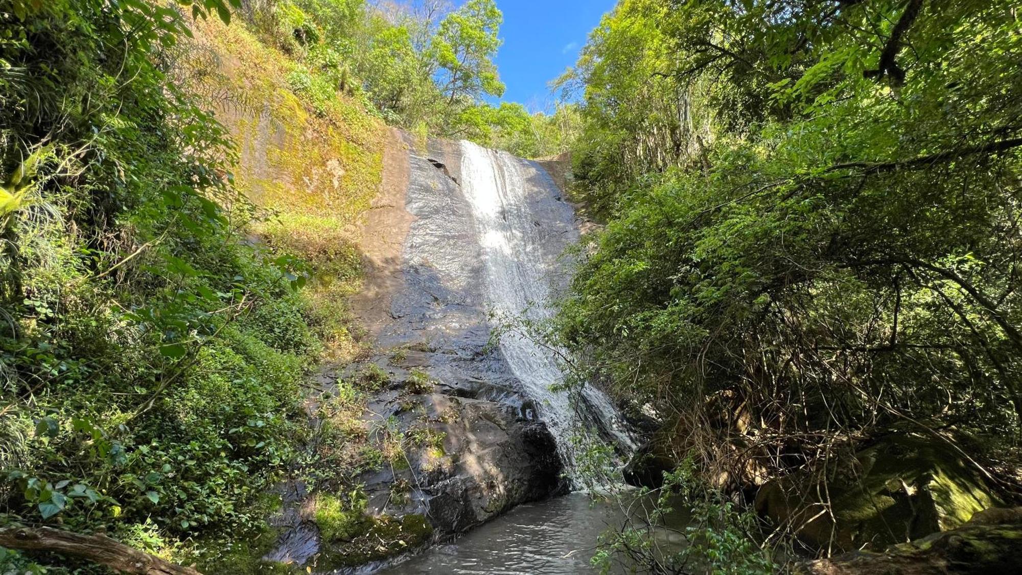 Da Cascata - Pitanga *