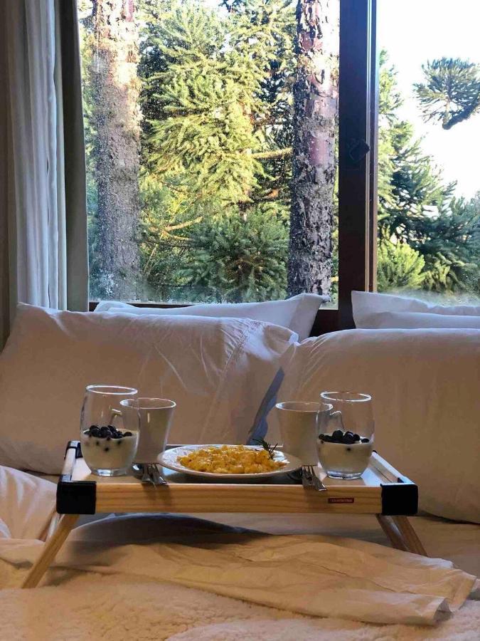 Lof Araucarias Prox Rua Coberta By Achei Apartamento