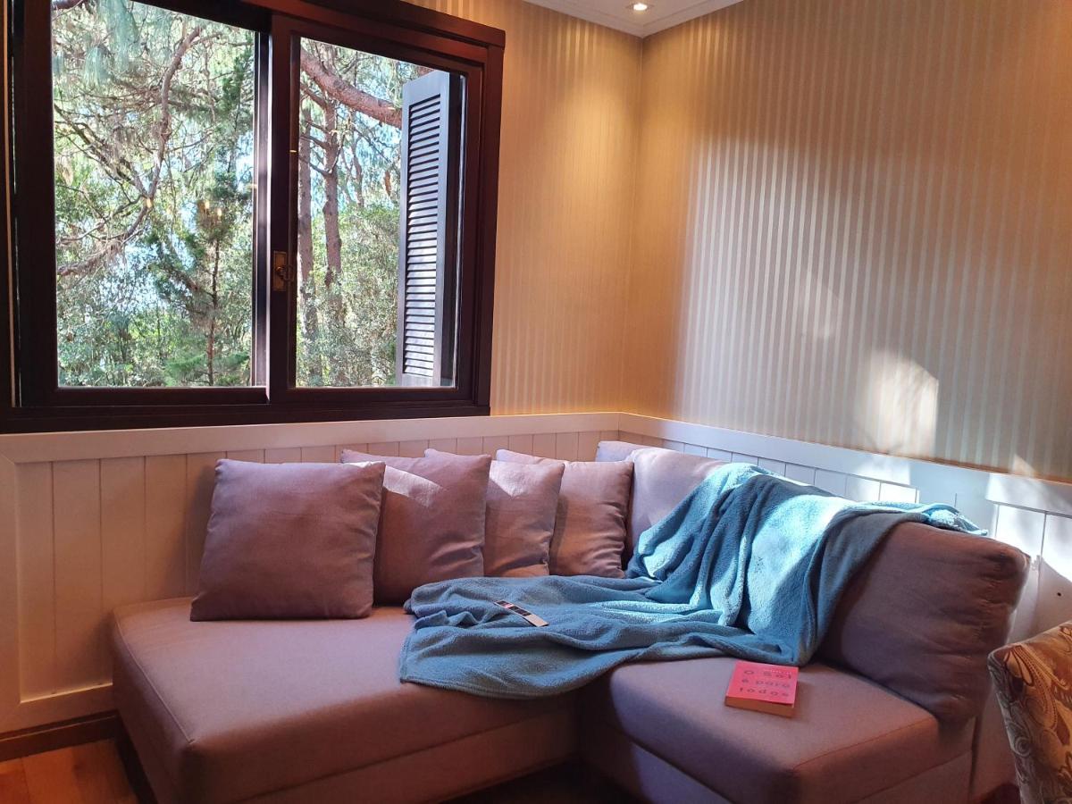 Aconchegante Apartamento Em Estilo Classico Em