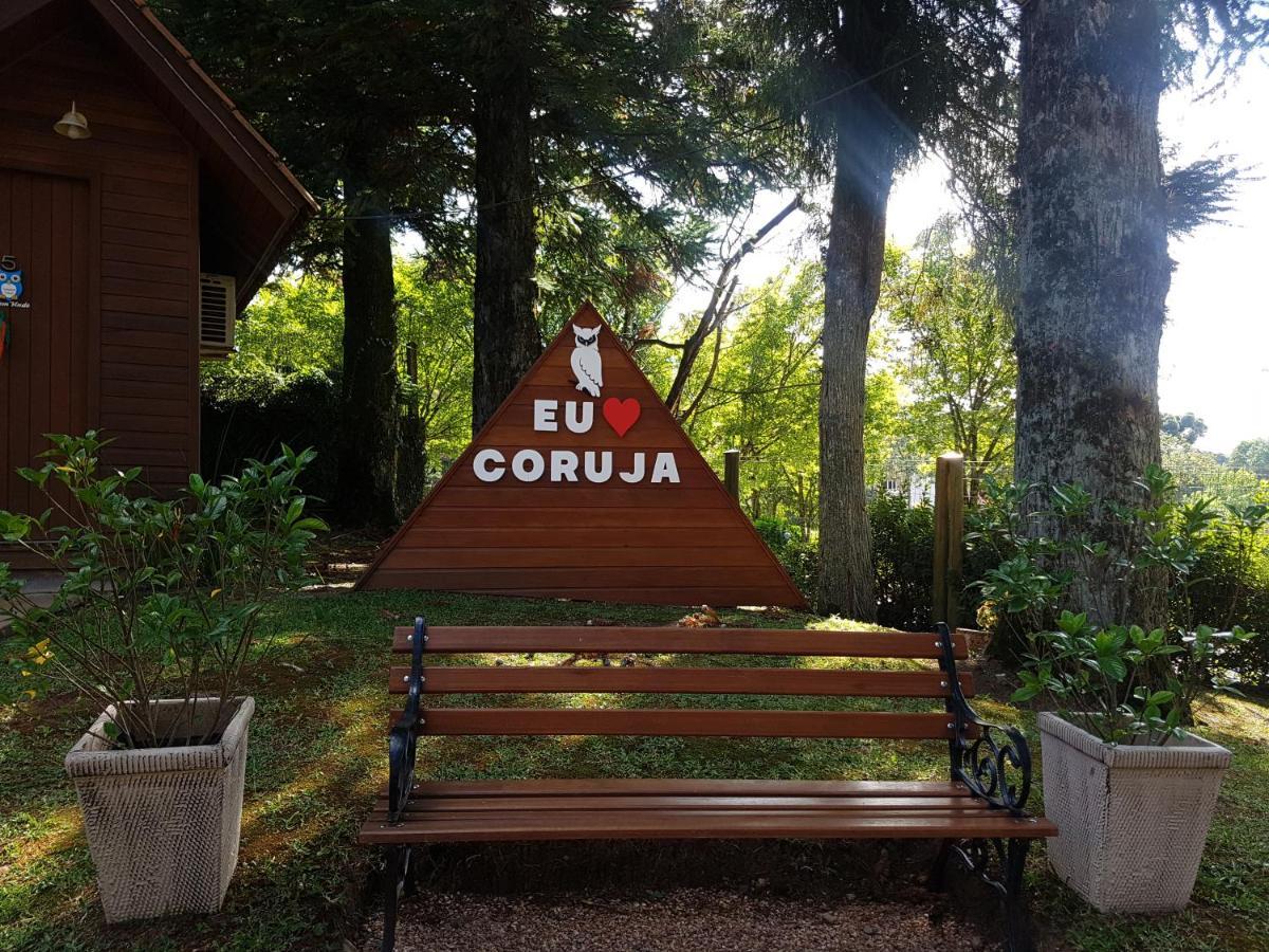 Arvore Da Coruja 2* Gramado