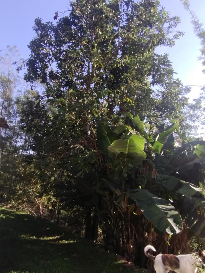 Casa de férias Casa Branchini
