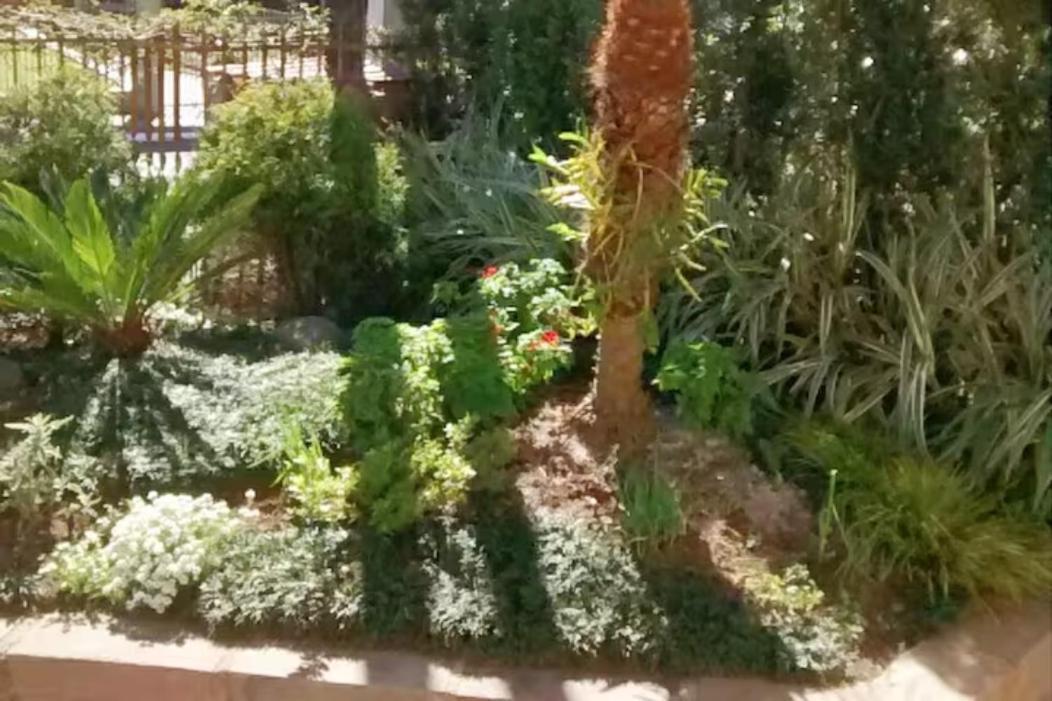 Casinha De *