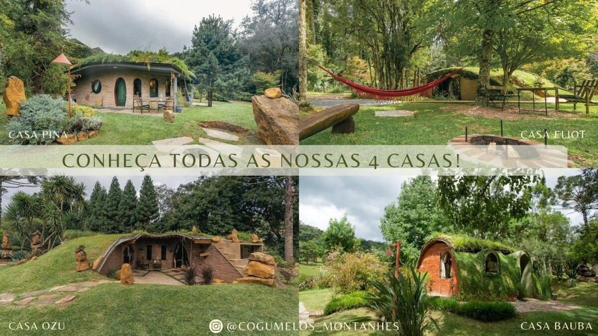 Cogumelos Montanhes * Gramado