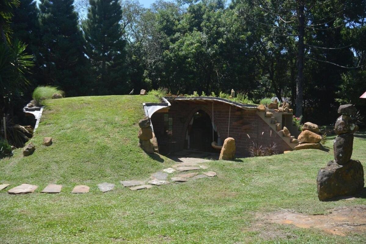 Cogumelos Montanhes Gramado