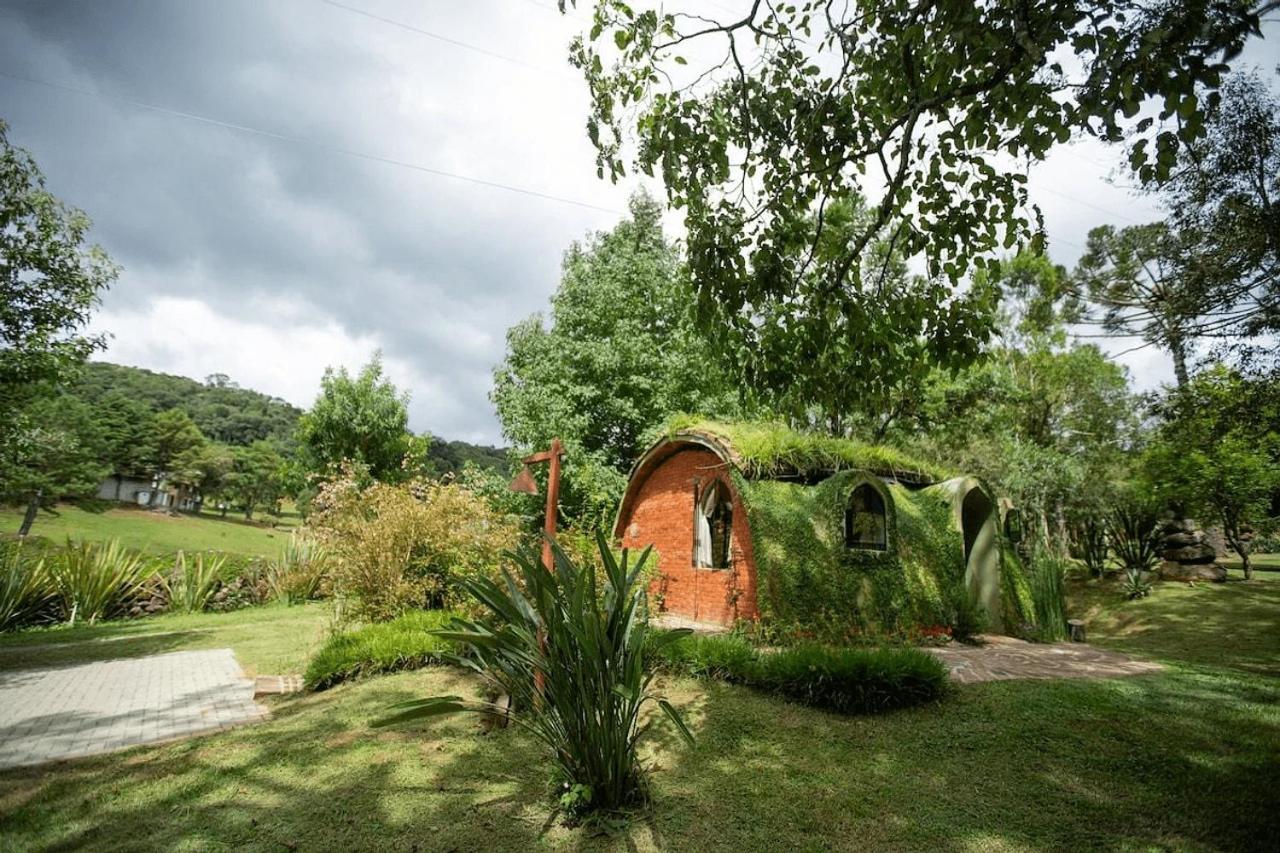 Cogumelos Montanhes Gramado