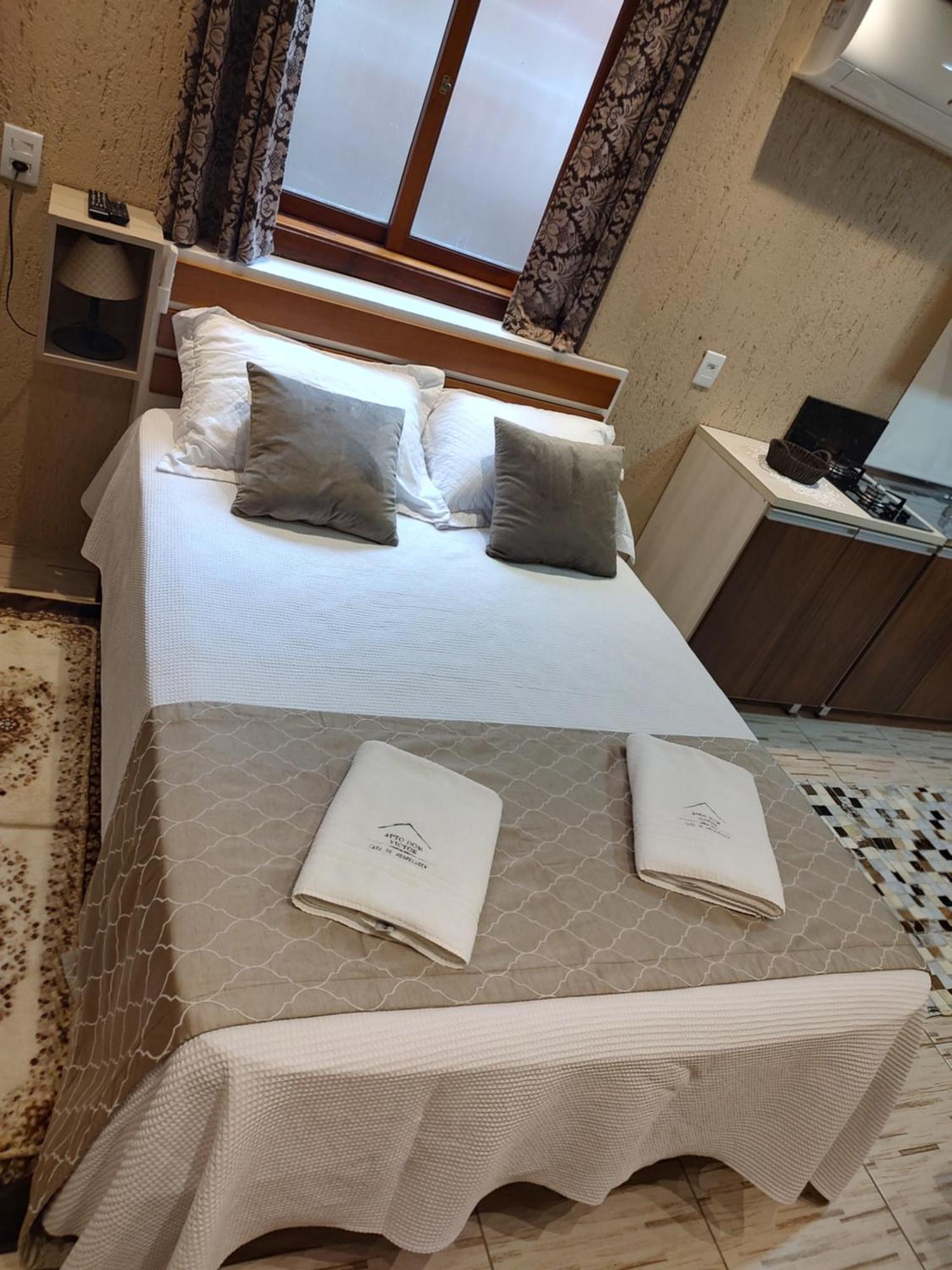 Apartamento Apto Dom Victor 101 *