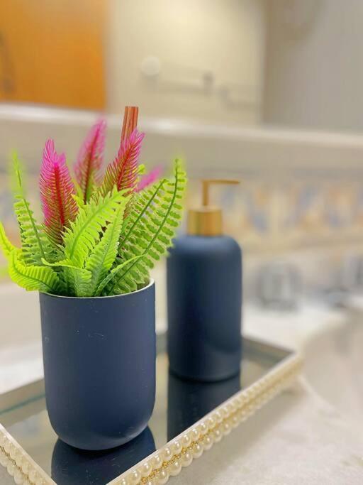 Apartamento Apto Luxo 2 Quartos Perto Rua Coberta