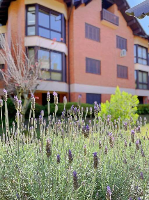 Apartamento Apto Luxo 2 Quartos Perto Rua Coberta