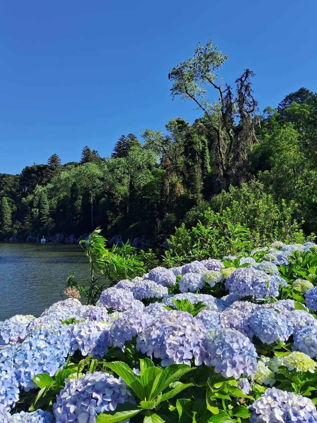 Hotel Pousada Aguia Da Serra Gramado