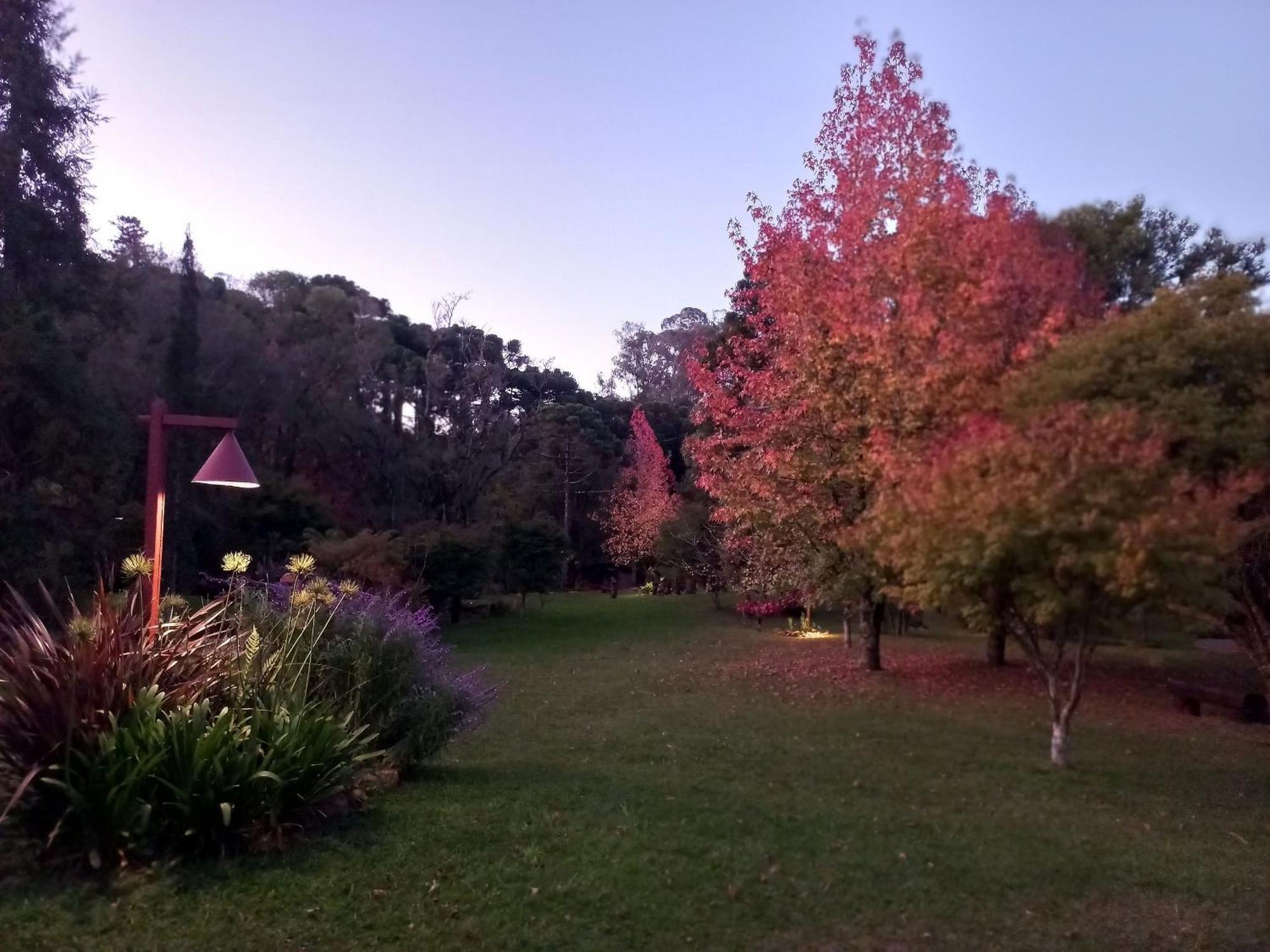 Chalé Cogumelos Montanhes Gramado