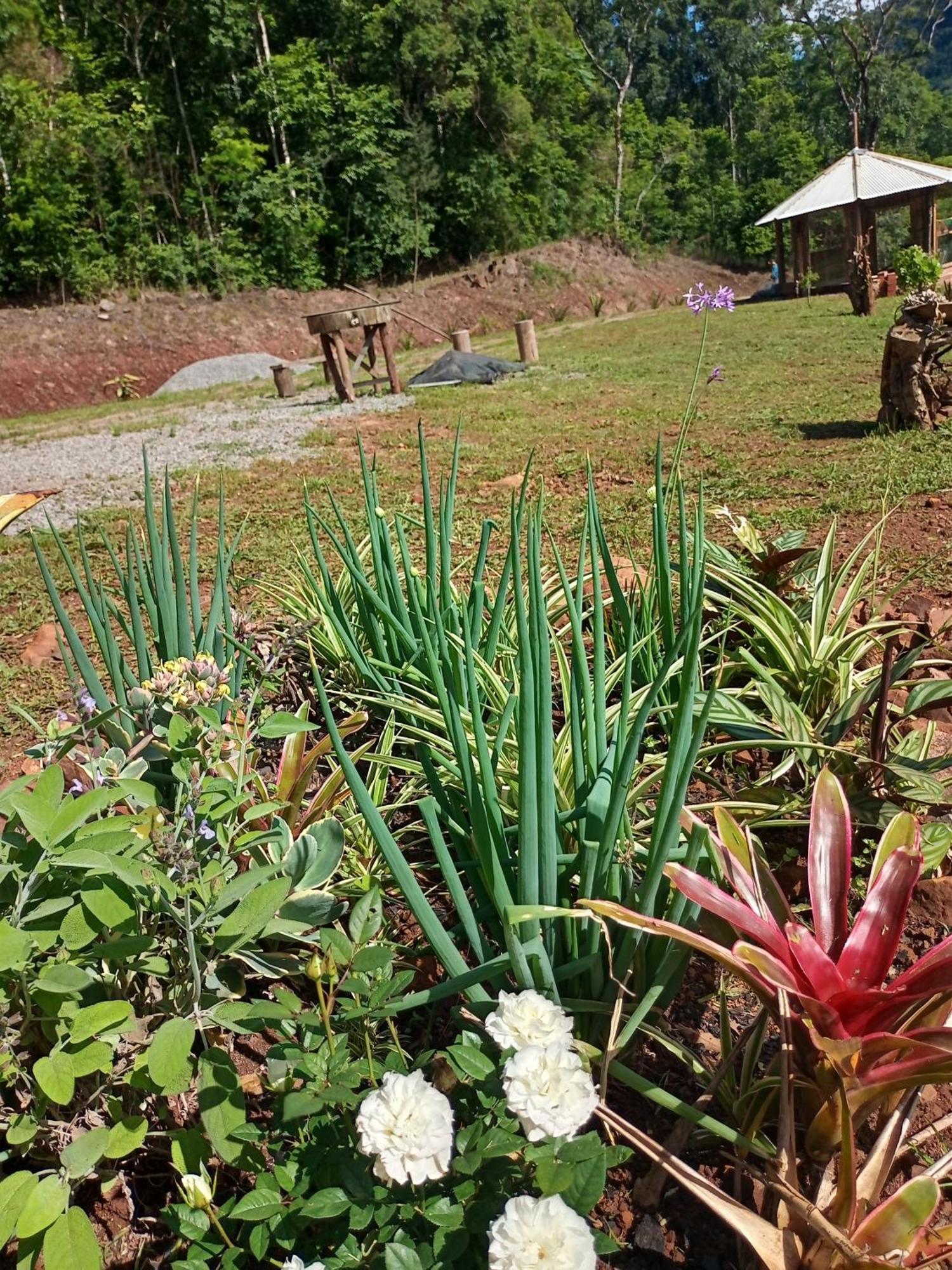 Casa de férias Cabana Vale Verde Alph Gramado