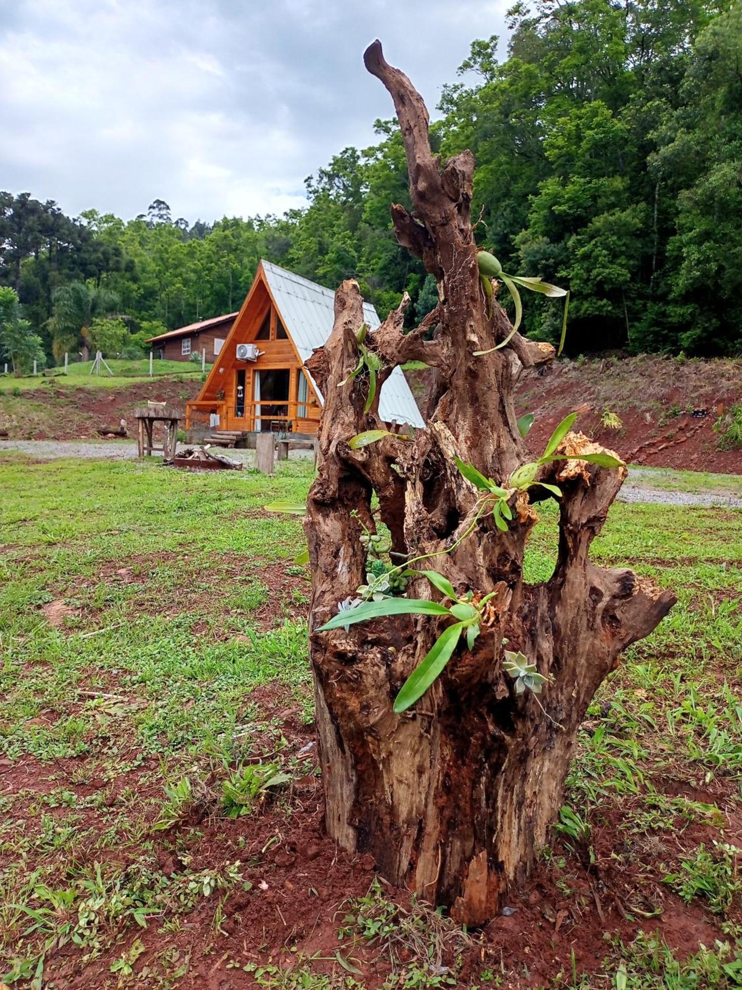 Casa de férias Cabana Vale Verde Alph