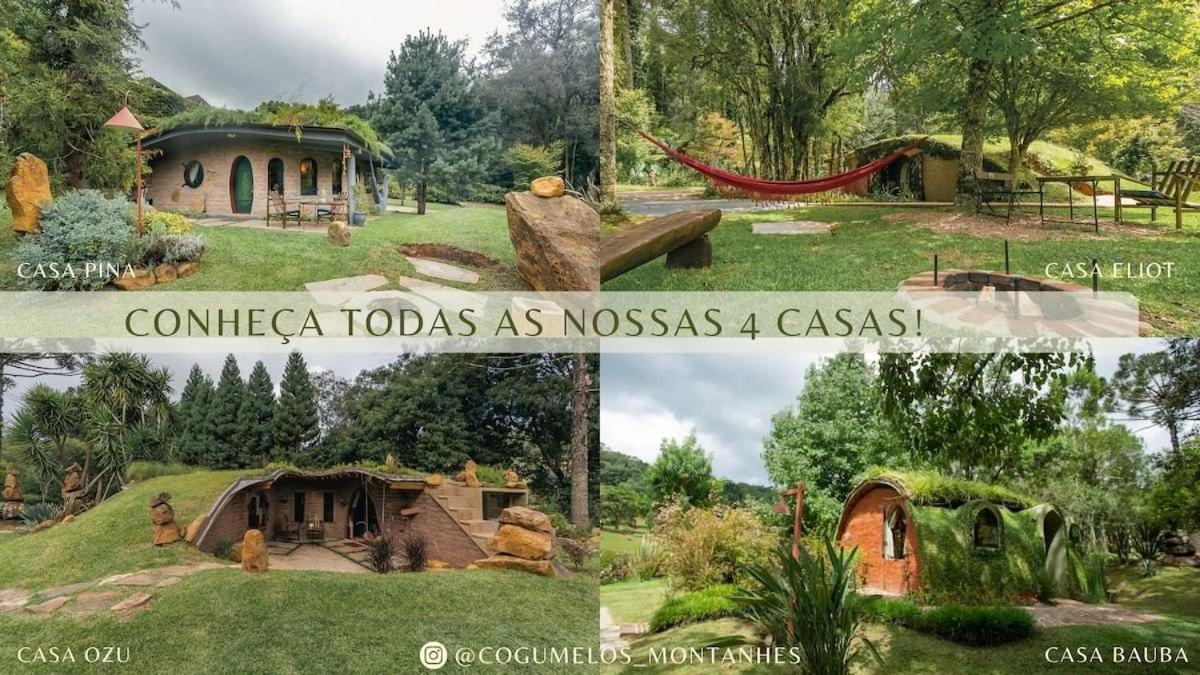 Cogumelos Montanhes
