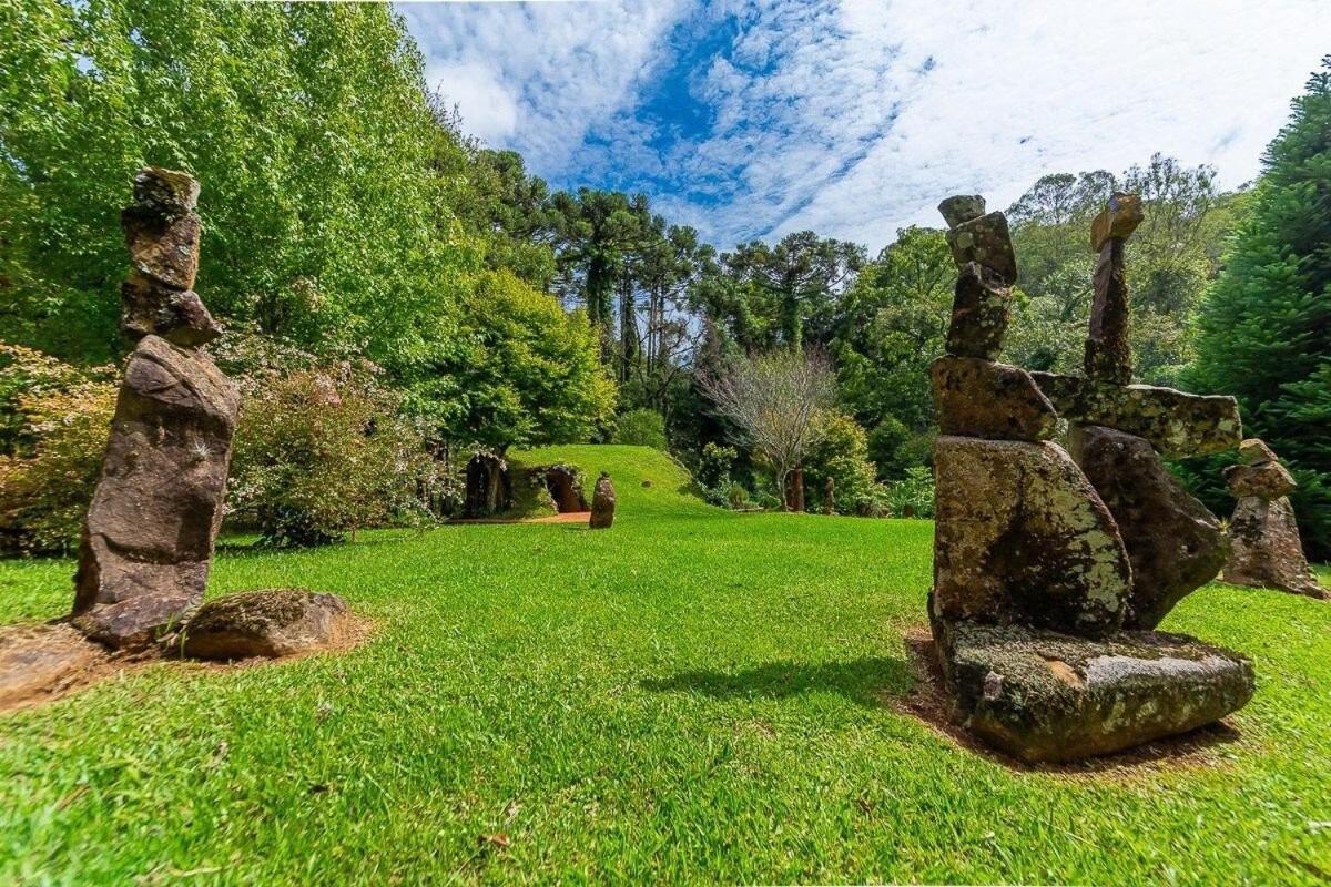 Cogumelos Montanhes Gramado