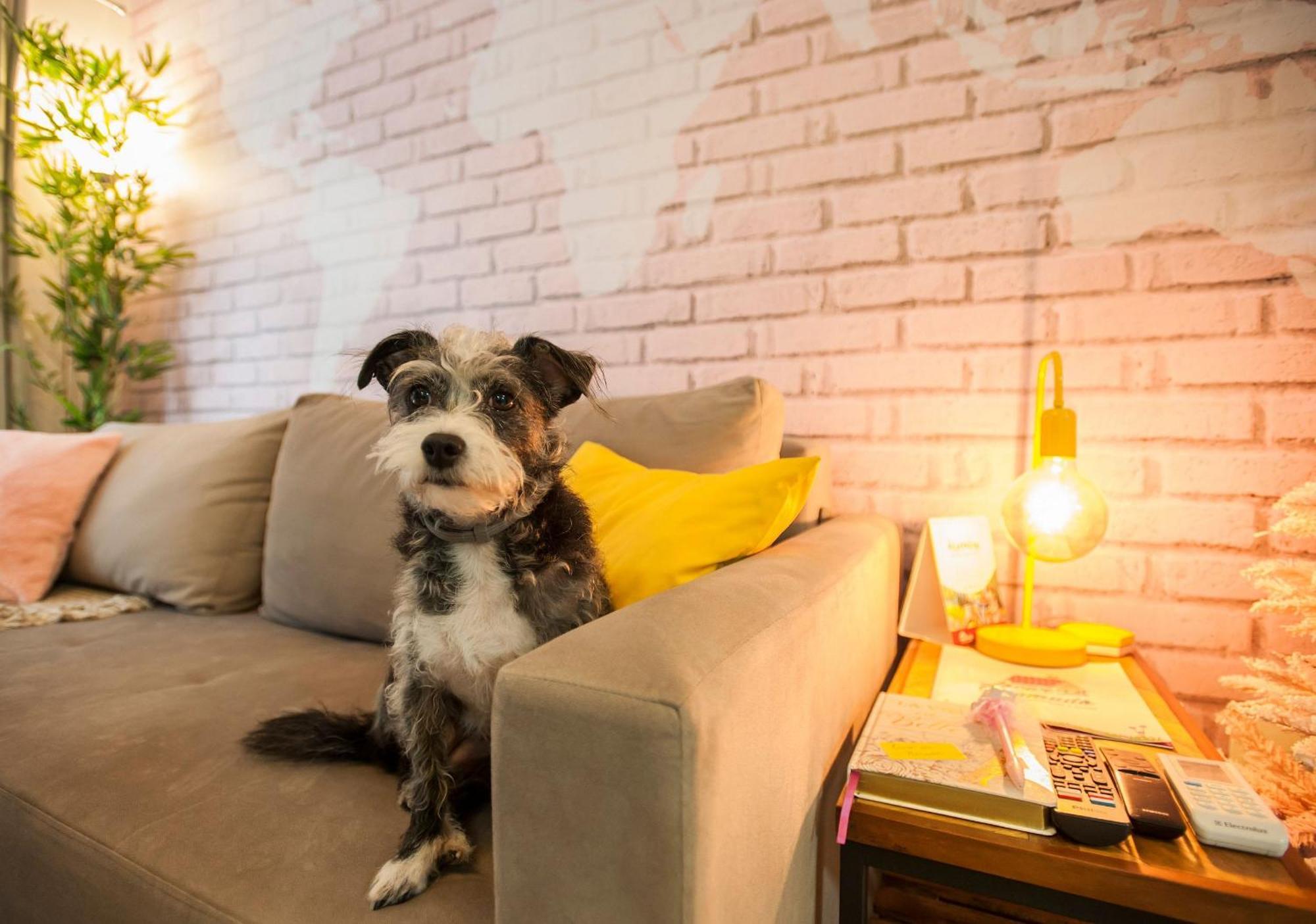 Locar-in - Onze-1 /pet Friendly Apartamento *