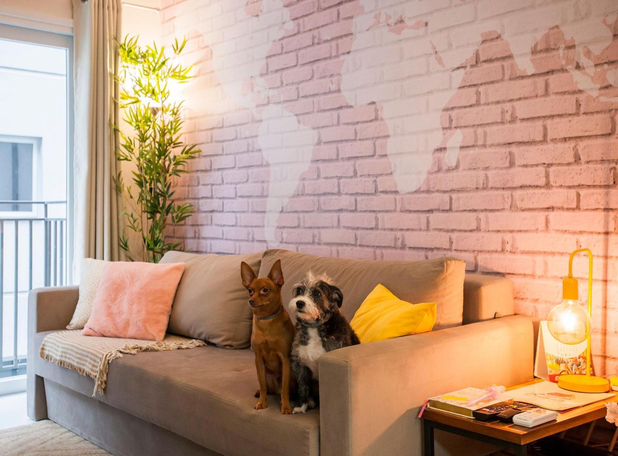 Locar-in - Onze-1 /pet Friendly Gramado