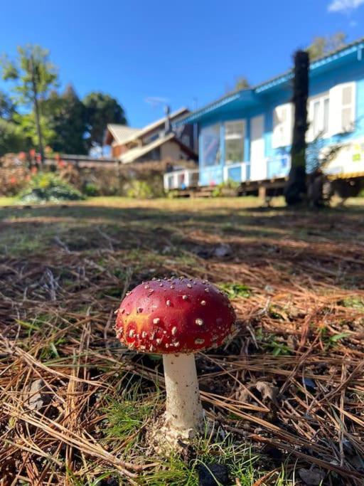 Chalé Blue House Em Fechado Gramado
