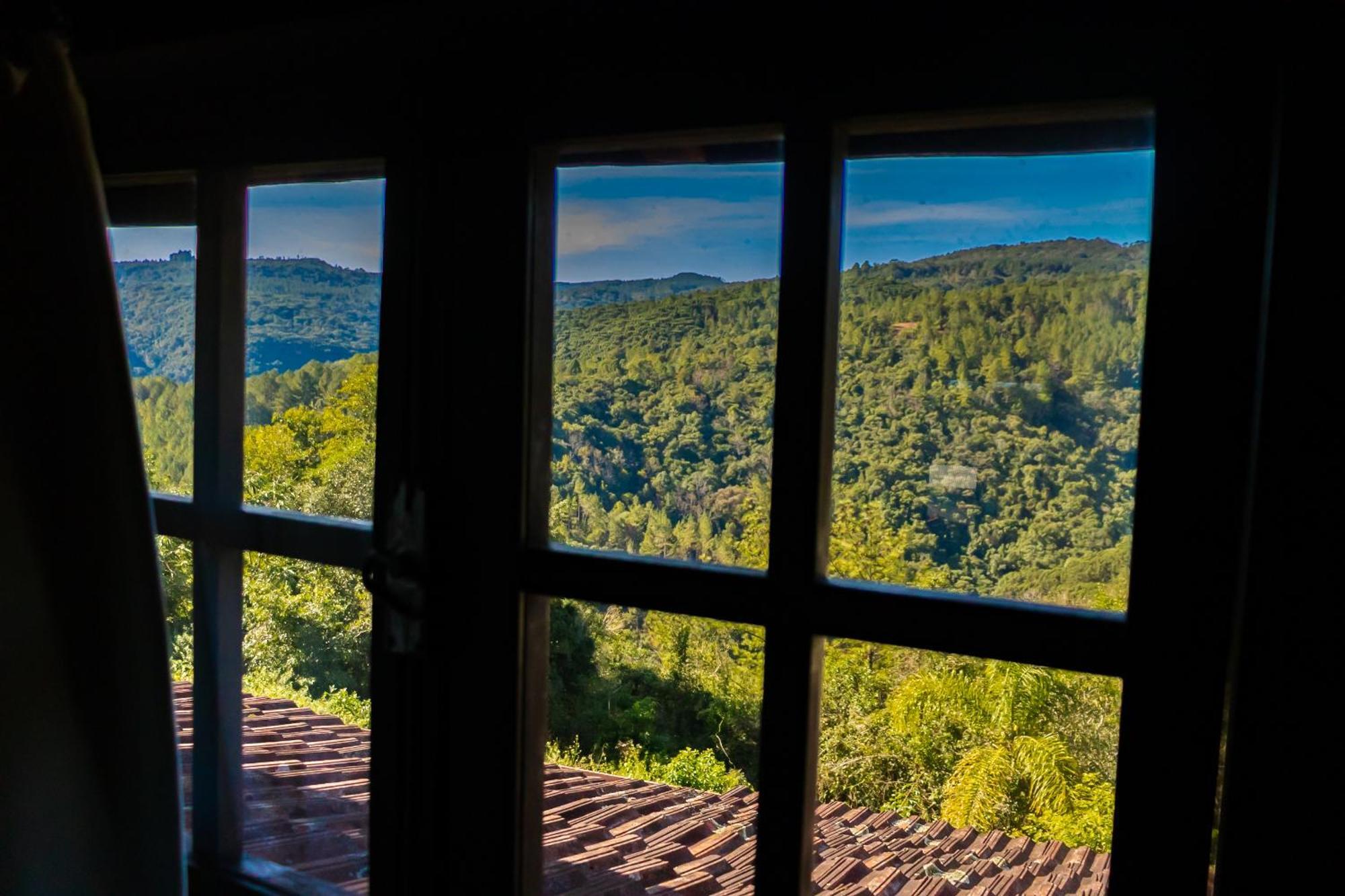 Da Uva * Gramado
