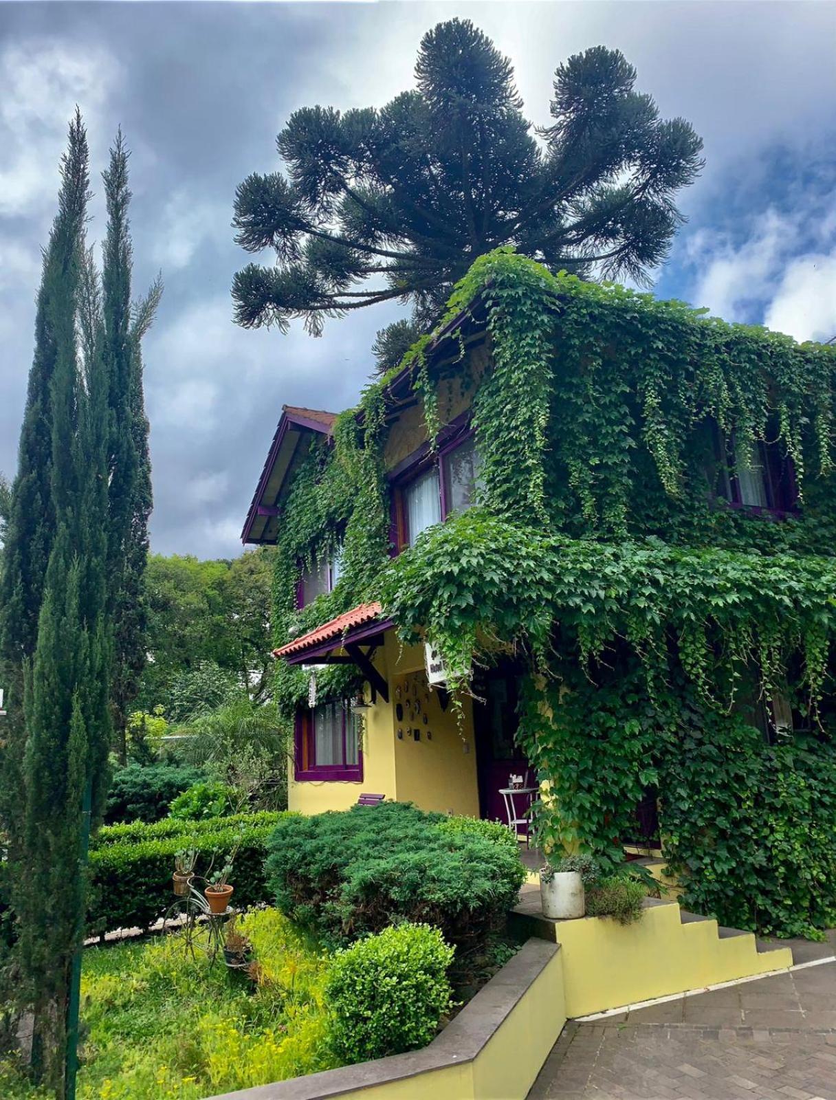 Petit Provence
