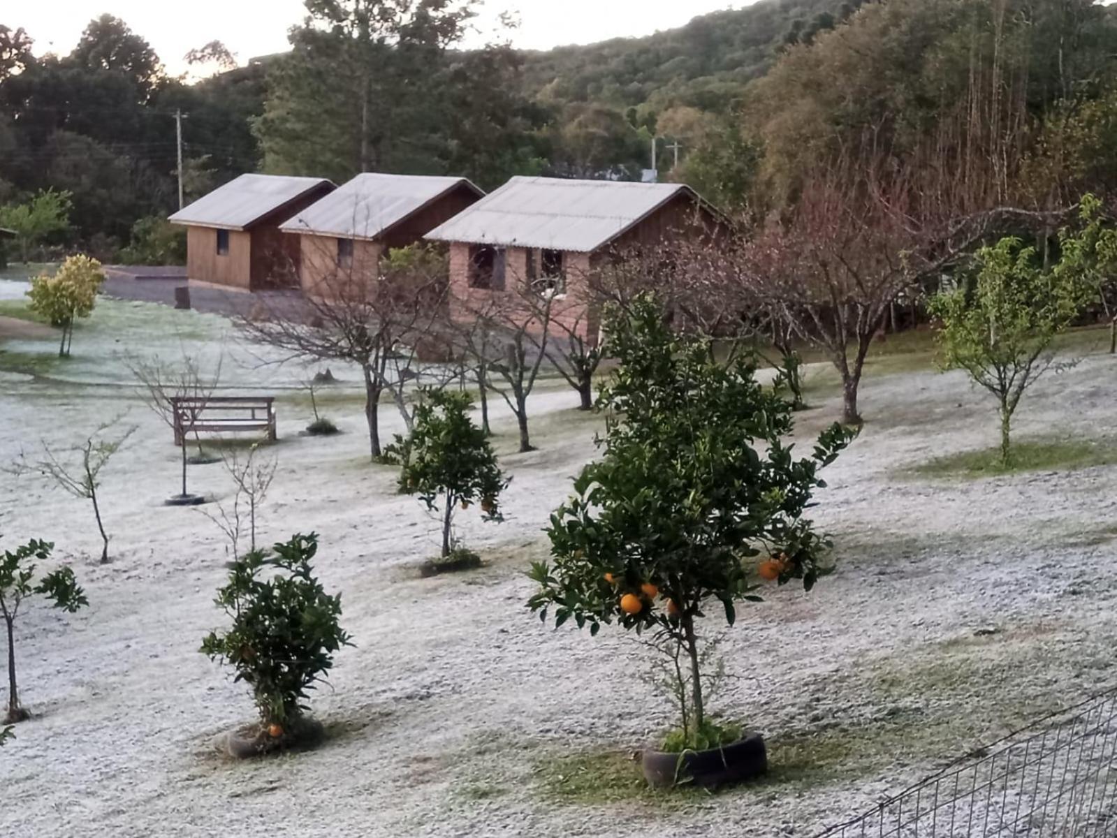 Chalé Encosta Dos Pinheiros *