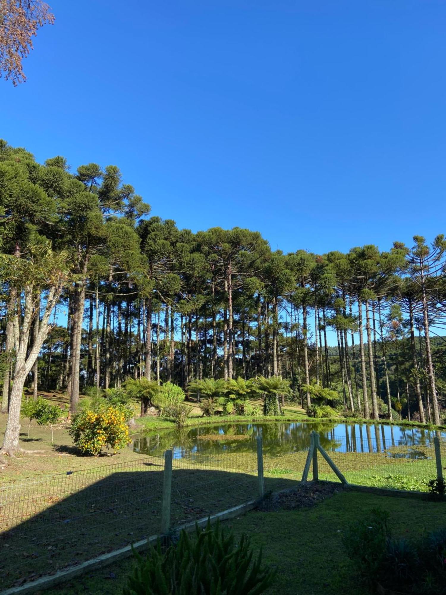Casa de férias Recanto Araucarias - Carazal, Gramado.