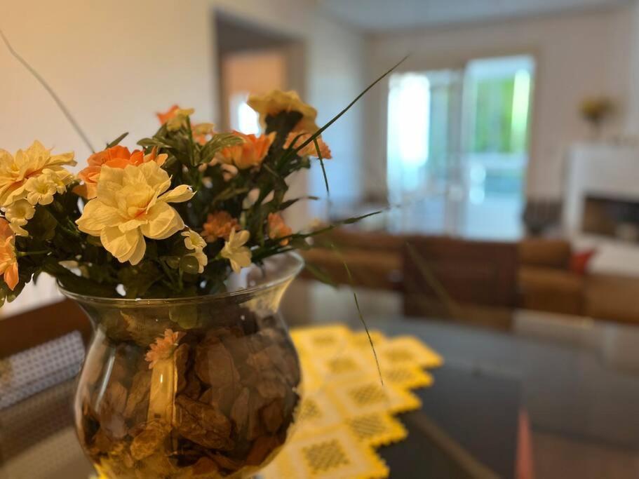 Apartamento Aconchego Do Centro! *