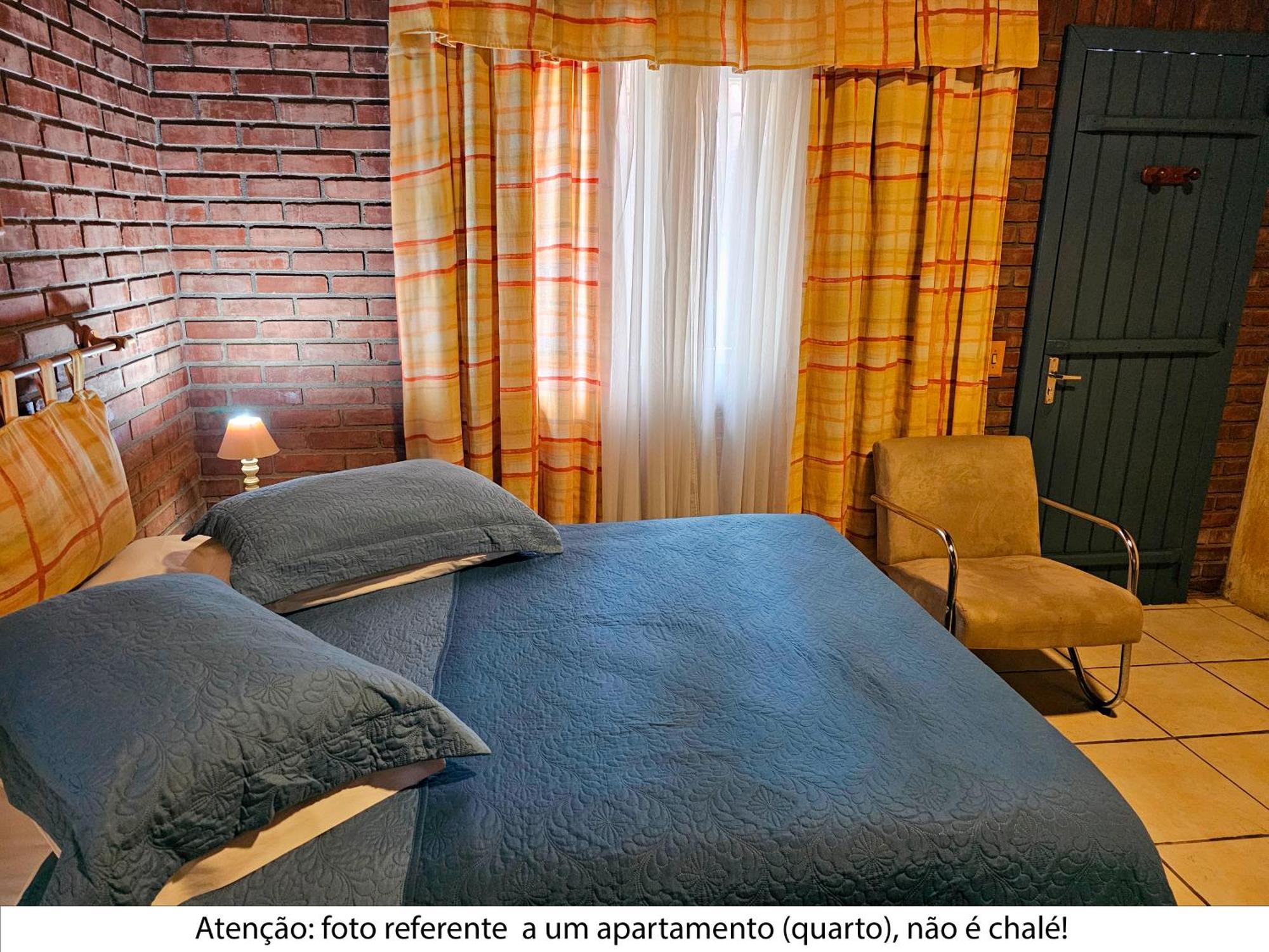 Arvore Da Coruja