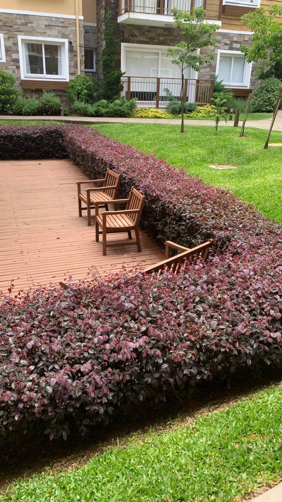 Apto Lindo Com Piscina Apartamento Gramado