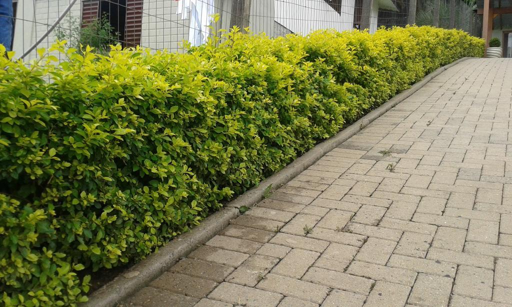 Apartamento Em Gramado