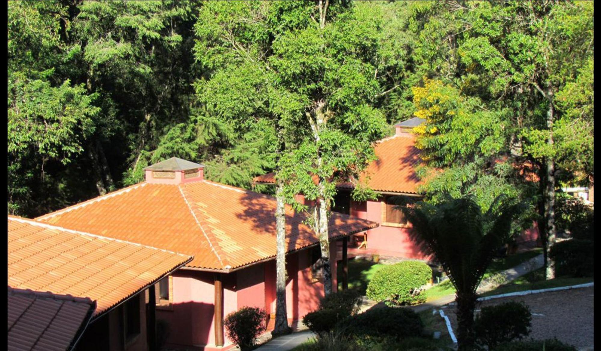 Rosa 3* Gramado